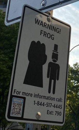 WARNING! FROG